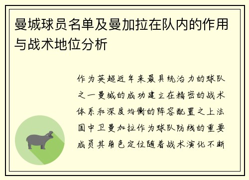 曼城球员名单及曼加拉在队内的作用与战术地位分析
